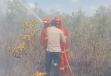 Damkar Natuna Padamkan Kebakaran Lahan Sepuluh Hektar Binjai