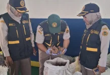 Karantina Natuna Perketat Pengawasan Lalu Lintas Komoditas jelang Idul Fitri