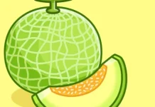 Berbagai Manfaat Buah Melon