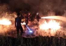 Kebakaran Lahan Sujung Hanguskan Puluhan Hektar