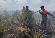 Kebakaran Lahan di Jalur Bunguran Batubi Belum Padam