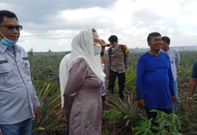 Bupati Natuna tinjau langsung Karhutla 50 Hektar di Batubi