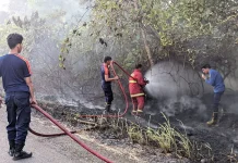 Damkar Natuna Padamkan Kebakaran Lahan Batu Sisir