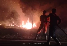 Damkar Natuna Padamkan Kebakaran Lahan Sebayar