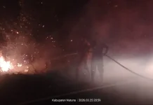 Kebakaran Lahan di Sebayar Berhasil Dikendalikan Petugas