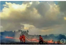Begini Saran Wakil Ketua DPRD Natuna Menangani Karhutla