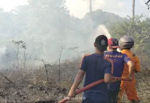 Kebakaran Lahan Natuna, Kualitas Udara Masih Aman