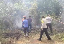 Kebakaran Lahan Seluas 1 Hektare Terjadi di Bunguran Timur Laut