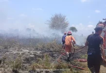 Damkar Natuna Padamkan Kebakaran Lahan Satu Hektare
