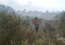 Sinergi Tim Gabungan Padamkan Kebakaran Lahan di Bunguran Timur