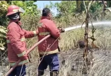Karhutla di Ranai Kota, Akses Sulit Hambat Penanganan