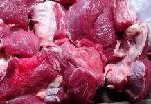 Manfaat Daging Kambing untuk Kesehatan Tubuh
