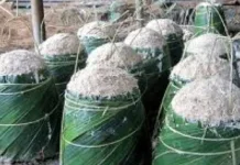 Revitalisasi Lahan Sagu untuk Kemandirian Industri Karbohidrat Non-Beras