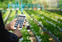 Implementasi Precision Farming Melalui Sensor Tanah Berbasis IoT