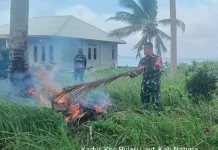 Babinsa Bantu Warga Bersihkan Kebun
