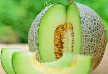 Wajib Makan Melon jika Mengalami 5 Tanda Tubuh