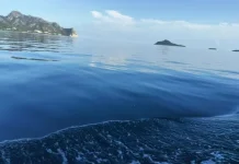 Laut Tenang dan Pemandangan Indah Jadi Obat Alami Penghilang Stres