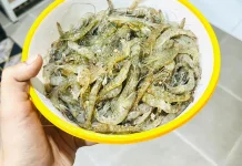 Berbagai Olahan Udang untuk Anak dan Nutrisinya