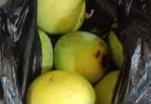 Vitamin yang terkandung dalam Buah mangga