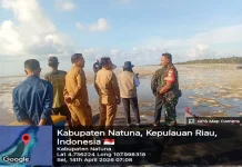 Babinsa Dampingi Survei Koperasi Nelayan