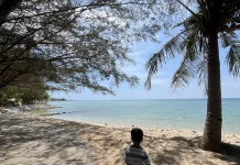 Manfaat Bermain di Alam Terbuka Bagi Si Kecil