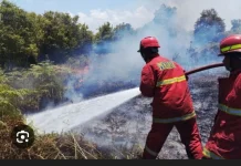Edukasi Membuka Lahan tanpa Membakar di Nilai Penting