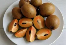 Bahaya Makan Buah Ciku berlebihan untuk Ibu Hamil