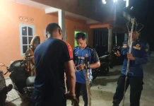 Damkar Natuna Evakuasi Ular Piton di Mess STAI