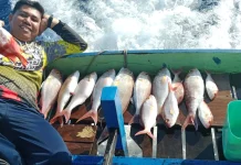 Hobi Memancing Dapat Menghasilkan Cuan