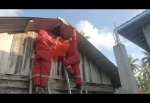 Damkar Natuna Basmi Sarang Lebah di Kelanga