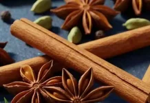 Kayu Manis Rempah Aromatik