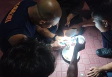 Damkar Natuna Tangani Pelepasan Cincin  Warga