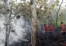 Damkar Padamkan  Kebakaran Lahan Tiga Titik Jalan Batu Sisir