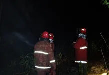 Kebakaran Lahan Terjadi di Cemaga Tanjung Saguk