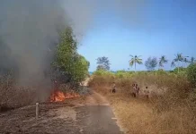 Kebakaran Lahan Penarik Hanguskan 10 Hektare