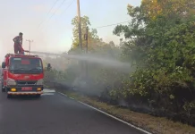 Kebakaran Lahan Pian Padang Hanguskan Empat Hektare