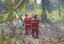 Kebakaran Lahan Tanjung Saguk Hanguskan Tiga Hektare