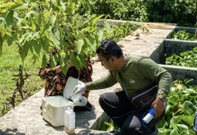 IKLH Natuna 2025 Capai Nilai Tinggi Nasional