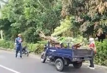 Warga Ranai Darat Goro Bersih Lingkungan