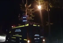 Damkar Natuna Evakuasi Sarang Tawon Air Tayan