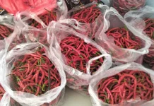 Cabe Merah Panjang Turun Drastis hingga Rp27 Ribu per Kilogram