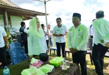Pemkab Natuna Salurkan Bantuan untuk Petani Nanas Terdampak Kebakaran