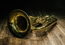 Mengenal Sejarah Hari Tuba Internasional