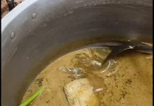 Pindang Ikan Khas Natuna