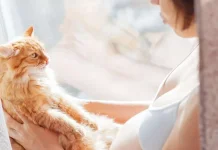 Bahaya Bulu Kucing Bagi Kesehatan Wanita Hamil