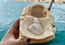 Kenali Tanda Air Kelapa Sudah Basi dan Tidak Layak Minum