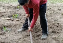 Manfaat Mencangkul untuk Kesehatan Tubuh