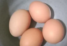 Makan Telur Rebus Setiap Hari, Sehat atau Berbahaya?