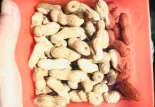 Kacang Tanah Rebus dan Manfaatnya