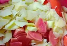 Manfaat Makan Rujak untuk Kesehatan Tubuh